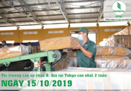15-10-2019 - Thị trường cao su châu Á: Giá tại Tokyo cao nhất 2 tuần