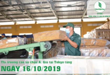 16-10-2019 - Thị trường Cao su Châu Á ngày : Giá tại Tokyo tăng