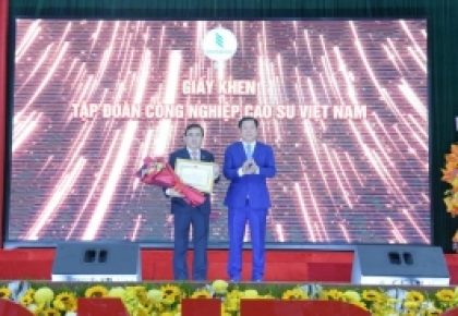 Lợi nhuận TCT Cao su Đồng Nai vượt kế hoạch 90%