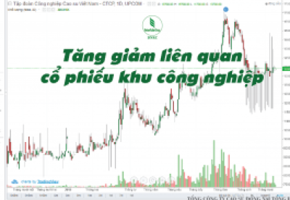 Tăng giảm liên quan cổ phiếu khu công nghiệp