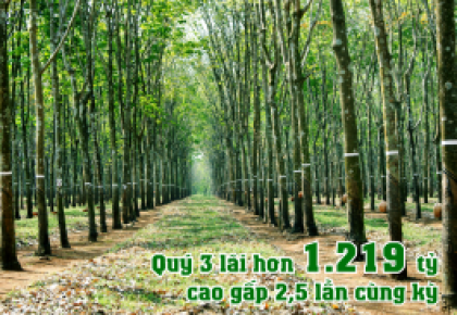 VRG - Quý 3 lãi hơn 1.219 cao gấp 2,5 lần cùng kỳ